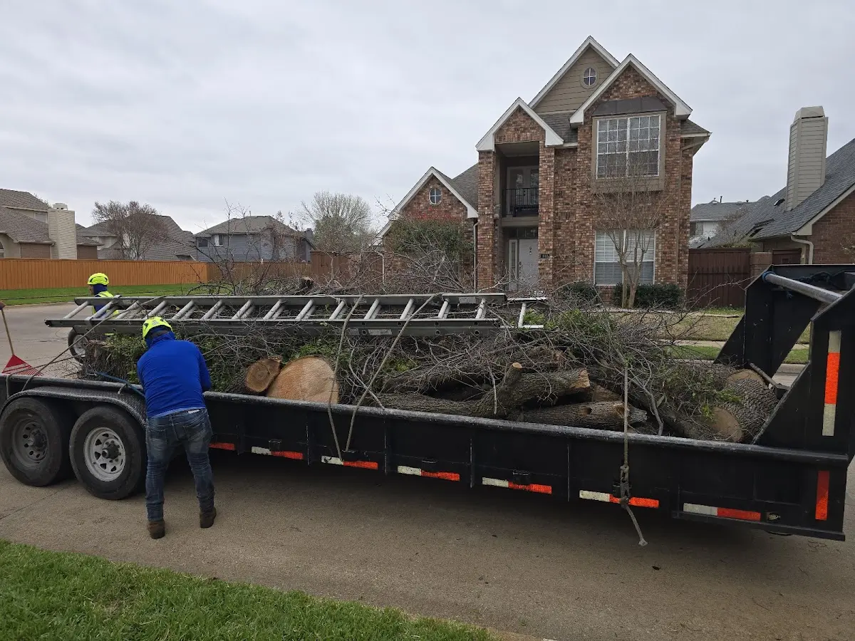 Expert Tree Fertilization with proper safety equipment in Monmouth